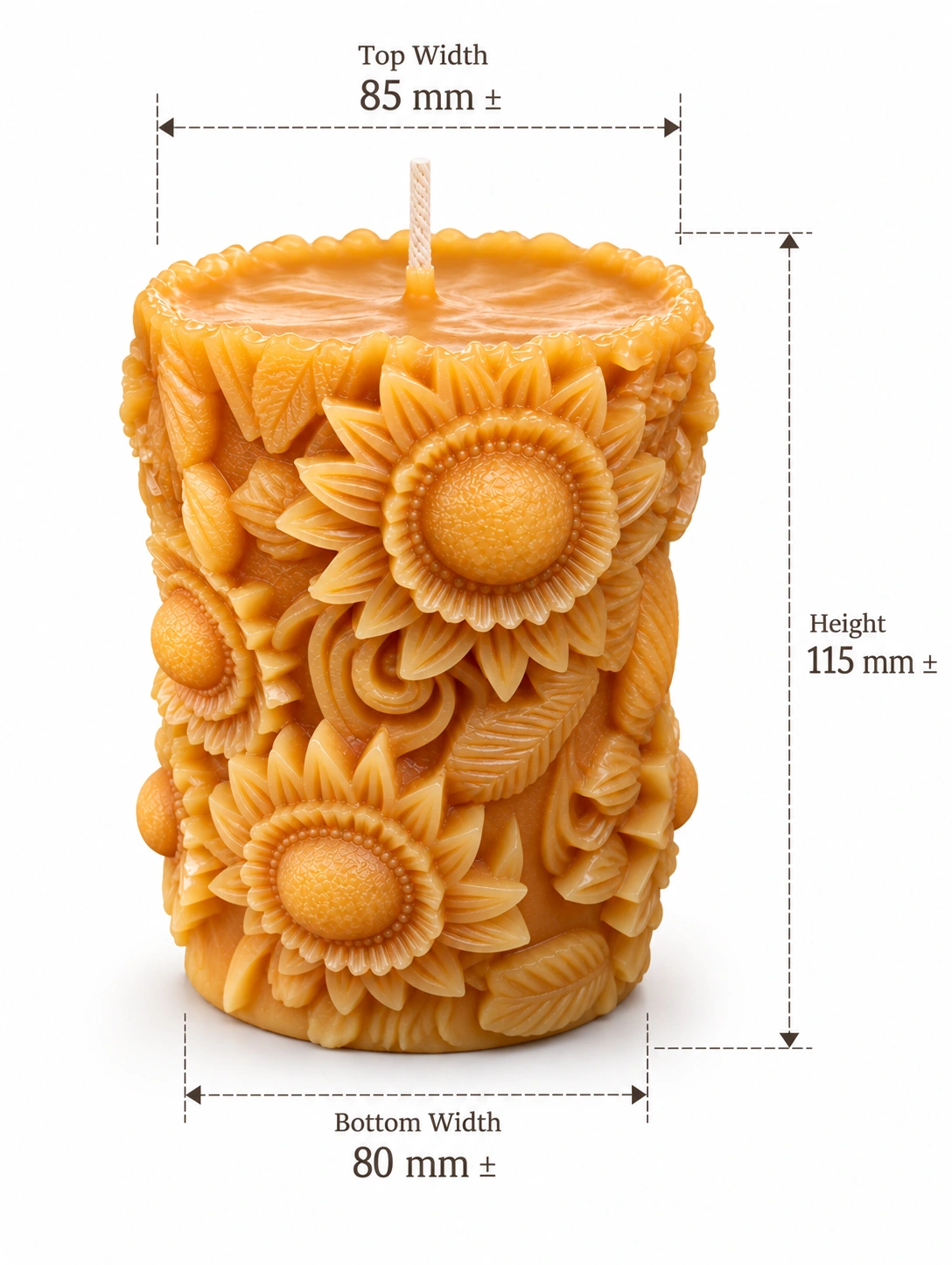 3D Cylindrical Sunflower